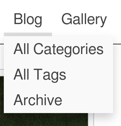 screenshot of drop-down menu
